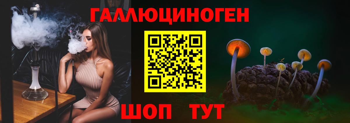 Псилоцибиновые грибы ЛСД Горячий Ключ
